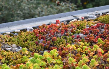 the cost of Lendalfoot green roof installation